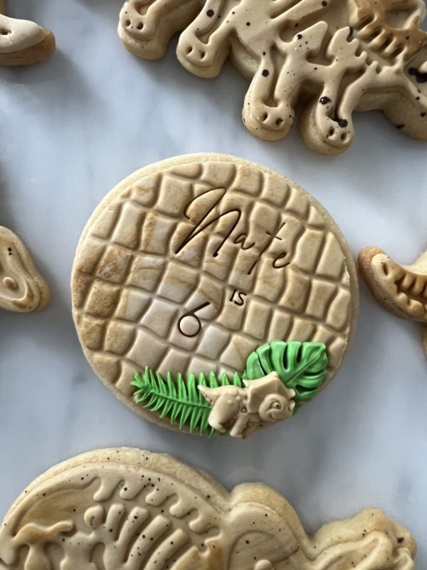 Dino round