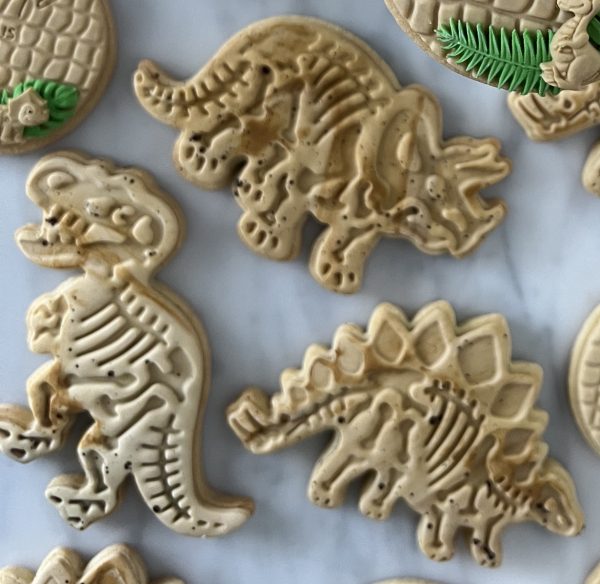 Dinosaur fossil