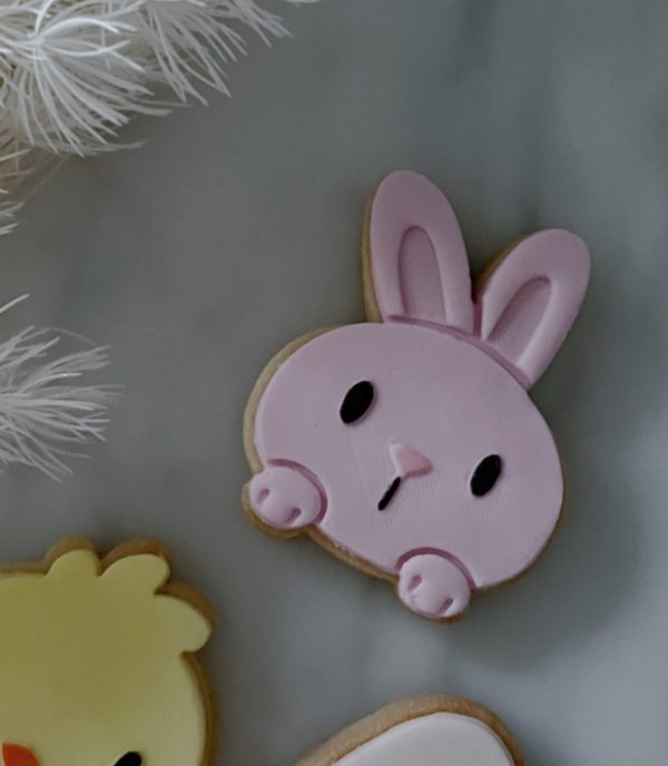 Easter Mini - Bunny